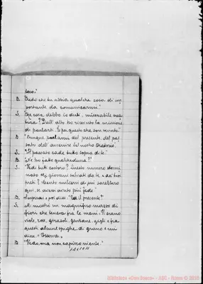 Fotogramma C 11