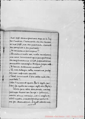 Fotogramma D 11
