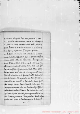 Fotogramma E 7