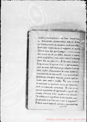 Fotogramma E 8