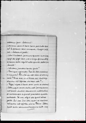 Fotogramma E 11