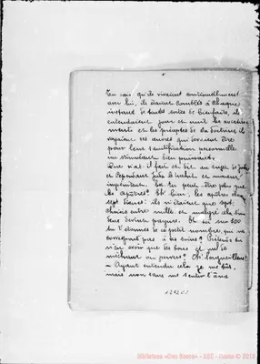 Fotogramma C 1