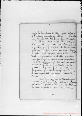Fotogramma D 1