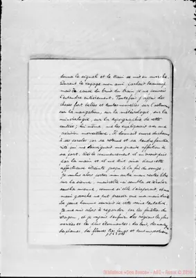 Fotogramma D 11