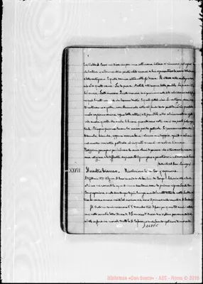 Fotogramma C 5