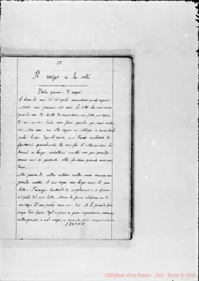 Fotogramma C 11