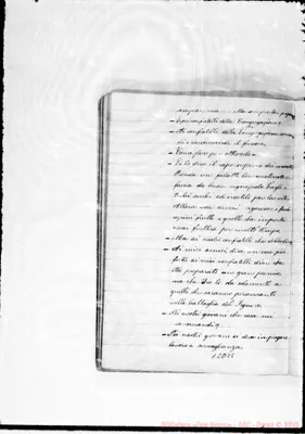 Fotogramma E 8