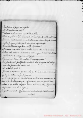 Fotogramma D 11