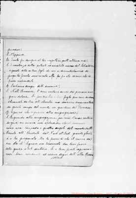 Fotogramma E 11