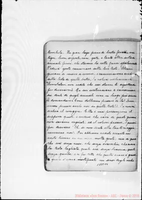 Fotogramma D 4