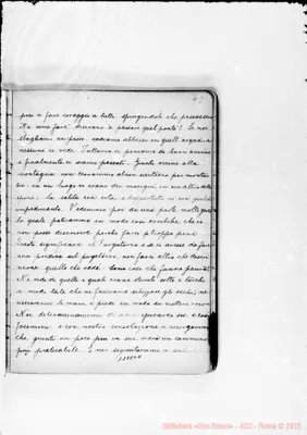 Fotogramma D 11