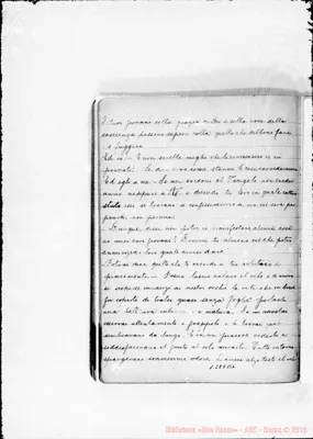 Fotogramma B 6