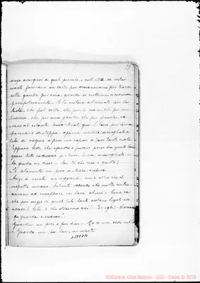 Fotogramma C 11