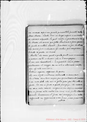 Fotogramma D 4