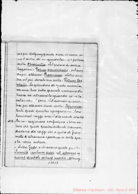 Fotogramma E 8