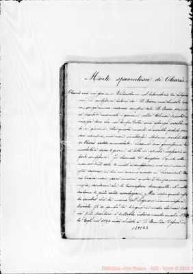 Fotogramma B 3