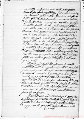 Fotogramma C 11