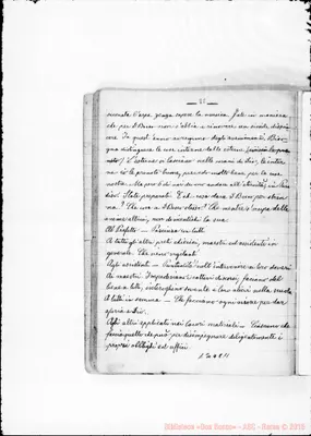 Fotogramma C 11