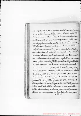 Fotogramma C 11