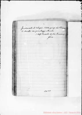 Fotogramma D 11