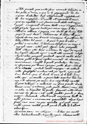 Fotogramma D 9