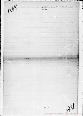 Fotogramma D 6