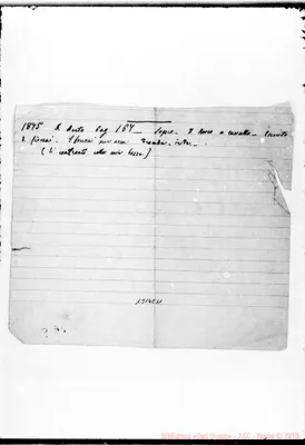Fotogramma C 11