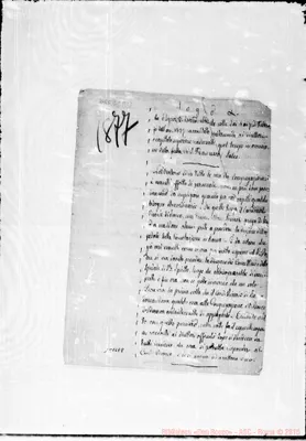 Fotogramma E 8
