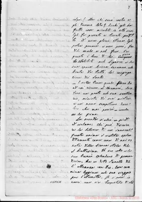 Fotogramma C 11