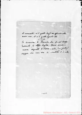 Fotogramma E 8