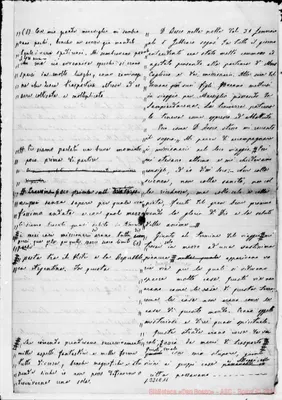 Fotogramma C 11