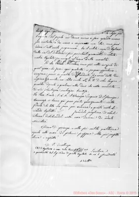 Fotogramma D 4