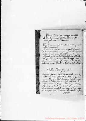 Fotogramma C 1