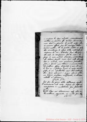 Fotogramma C 11