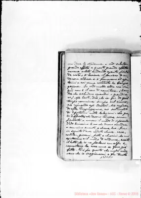 Fotogramma D 11