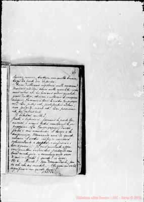 Fotogramma C 2
