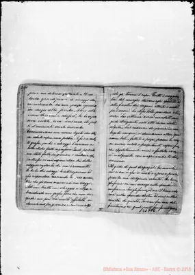 Fotogramma C 6