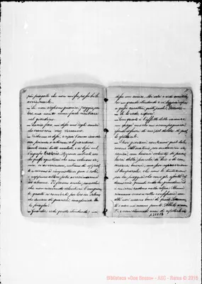 Fotogramma E 2