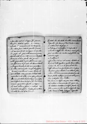 Fotogramma E 5