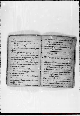 Fotogramma B 2
