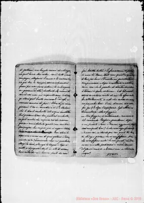 Fotogramma C 2
