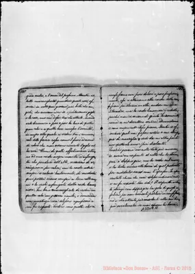Fotogramma C 11