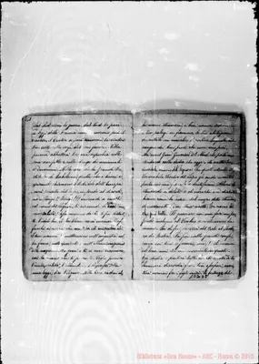 Fotogramma D 8