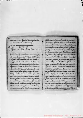 Fotogramma D 11