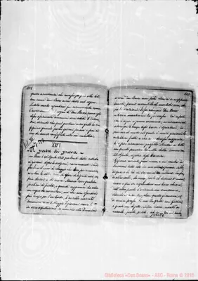 Fotogramma E 8