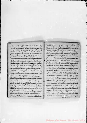 Fotogramma D 12