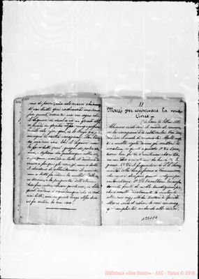 Fotogramma E 8