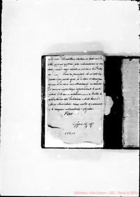 Fotogramma C 7