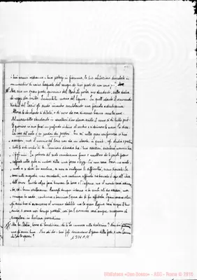 Fotogramma A 11