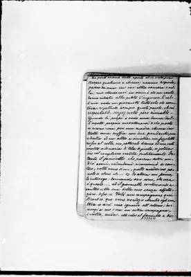 Fotogramma C 11